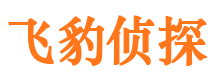 巫山市出轨取证